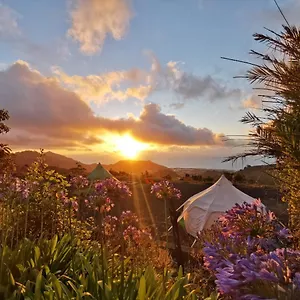 Lotus Yurt Tente de luxe